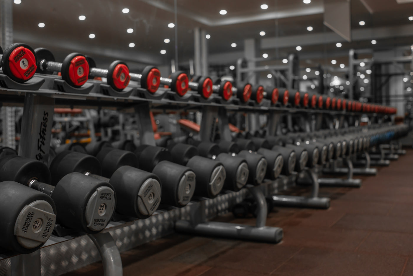 The ultimate guide for gym newbies - Titan Fitness